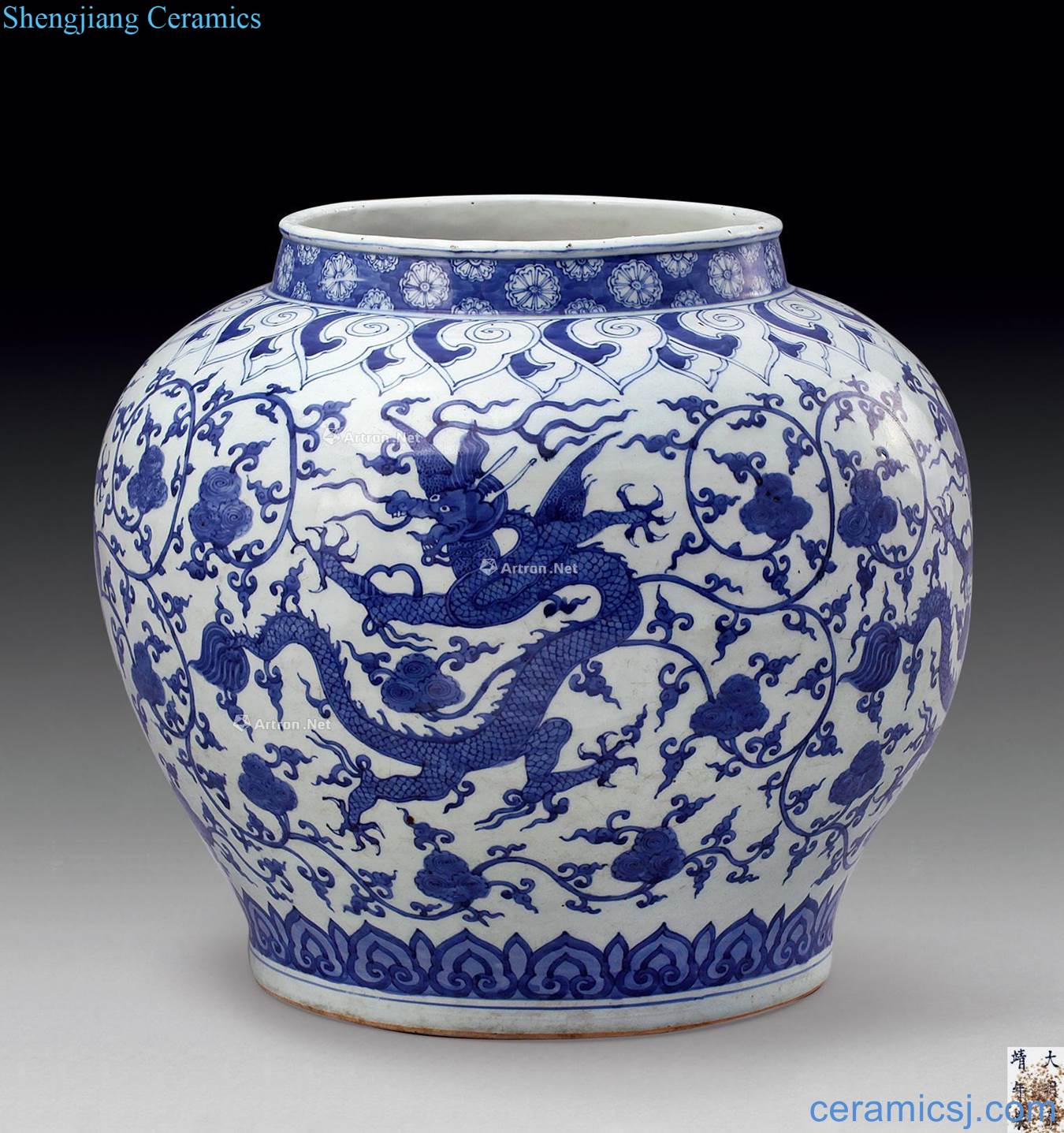 Ming jiajing Blue and white flower dragon big pot around branches