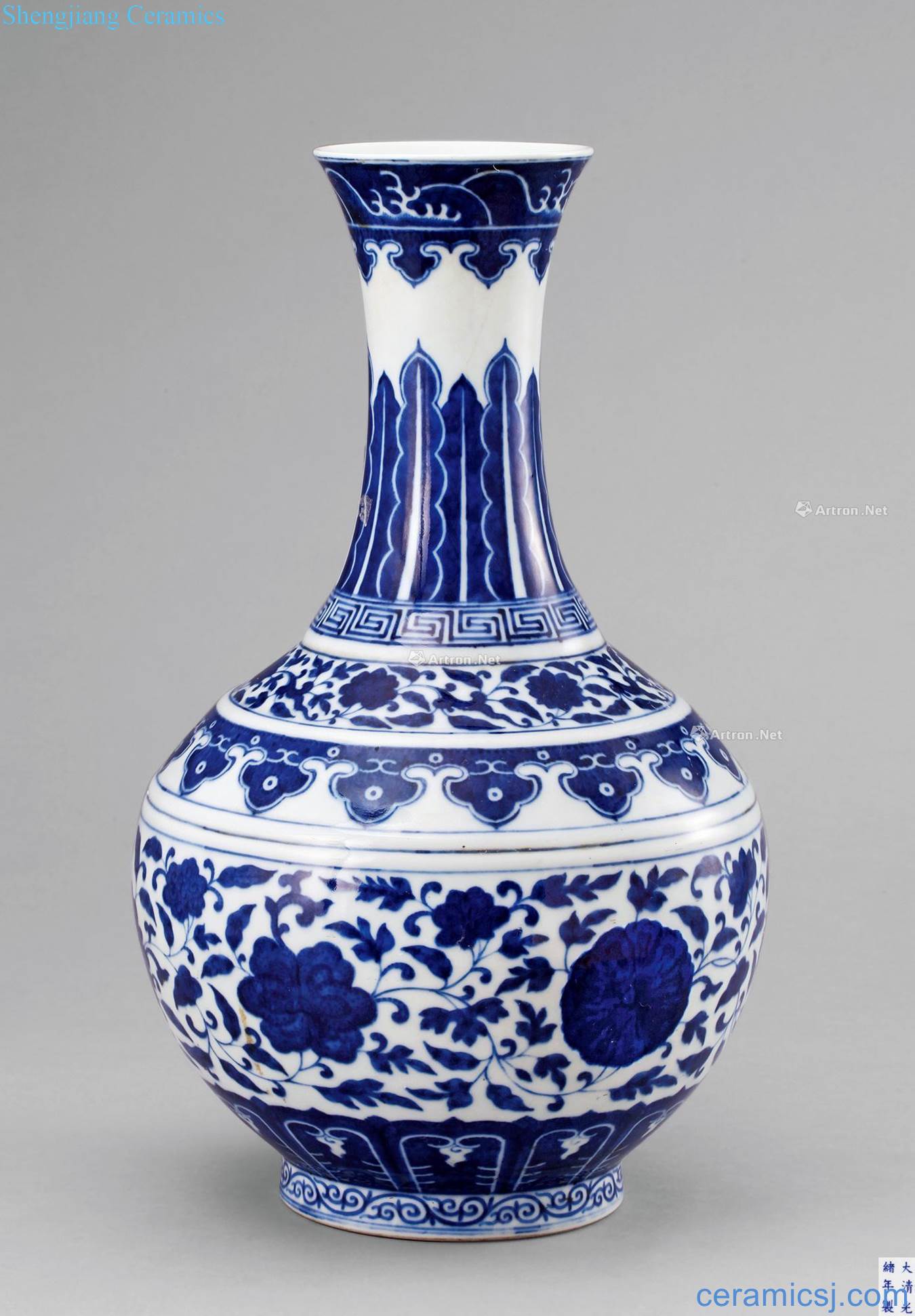 Qing guangxu Blue and white floral bottle wrapped branches