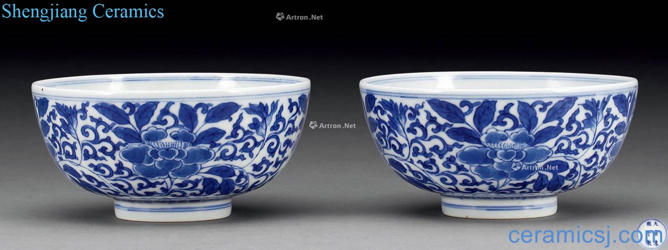 The qing emperor kangxi Blue and white flower bowls bound branches (2)