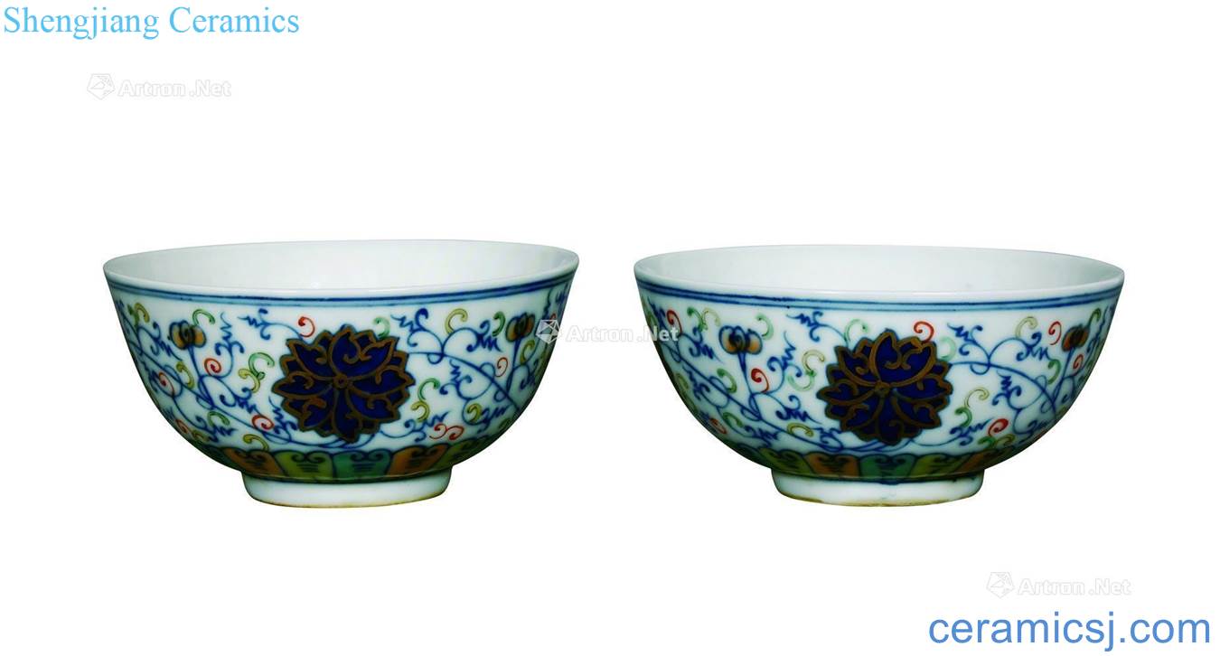 A pair of qing guangxu bucket color bowl