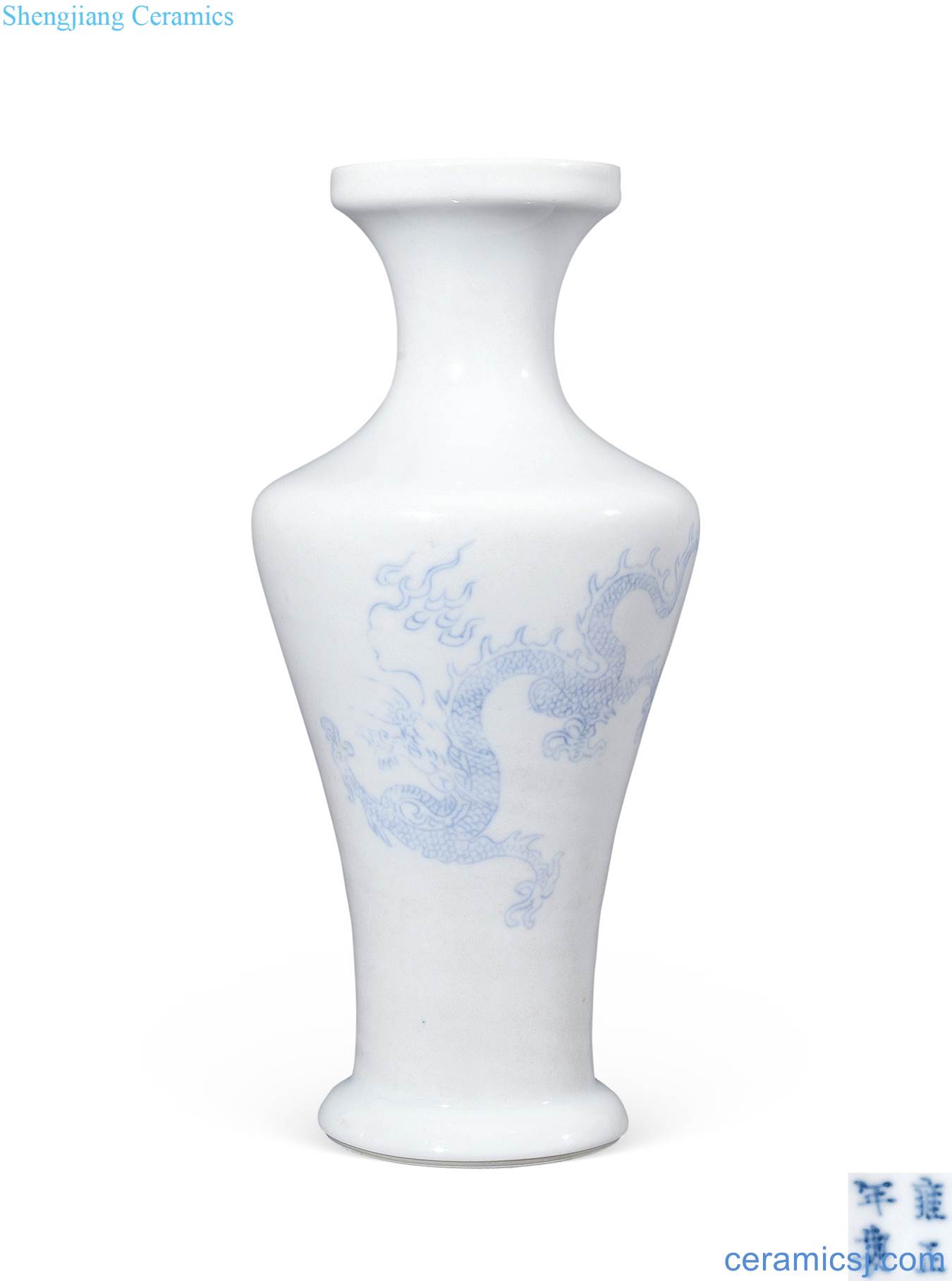 Qing yongzheng Blue and white dragon bottle