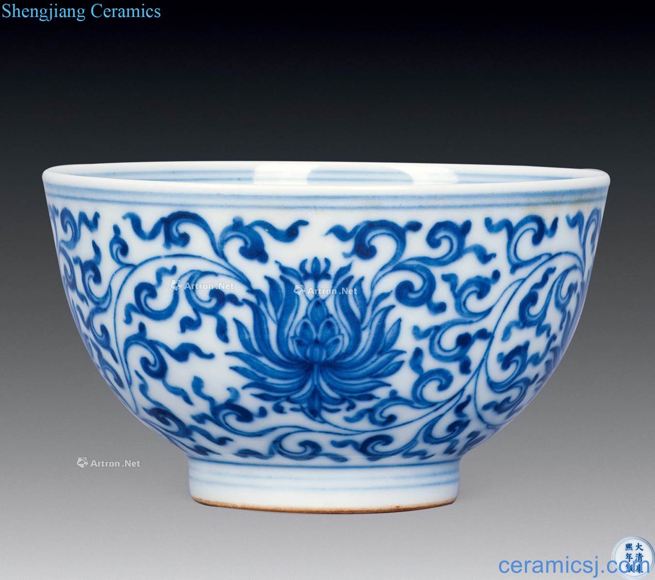 The qing emperor kangxi Blue and white flowers bowl