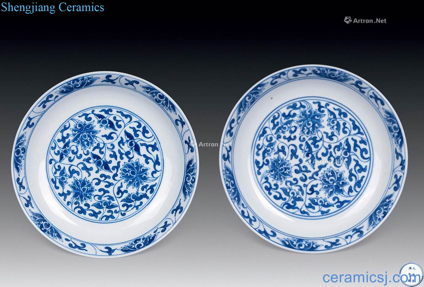 Qing dynasty blue and white flower disc (a)