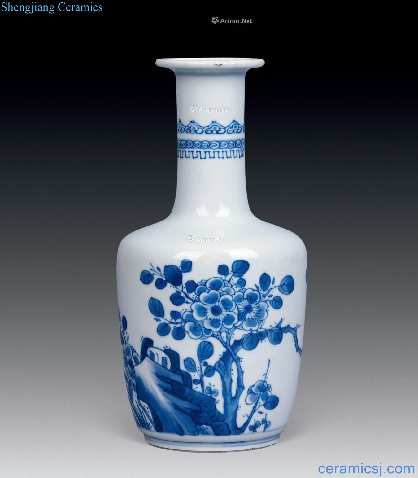 The qing emperor kangxi Blue and white flowers and birds ChangJing bottles