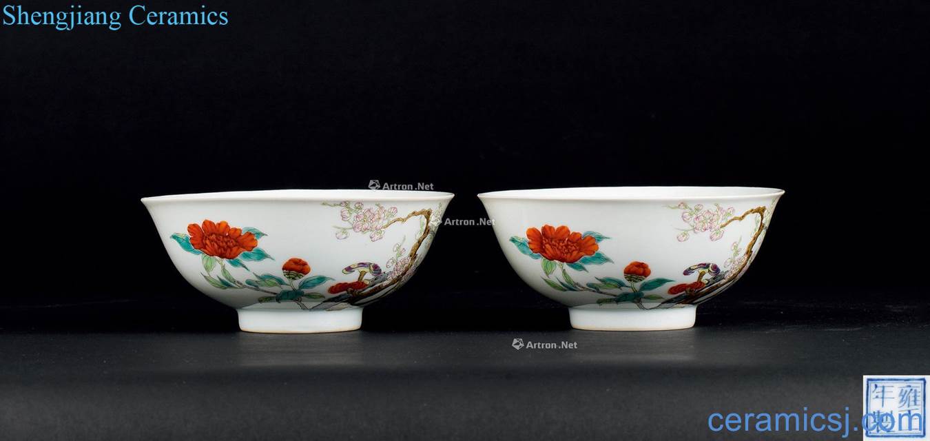 In the qing dynasty (1644-1911), pastel flowers peony bowl (a)