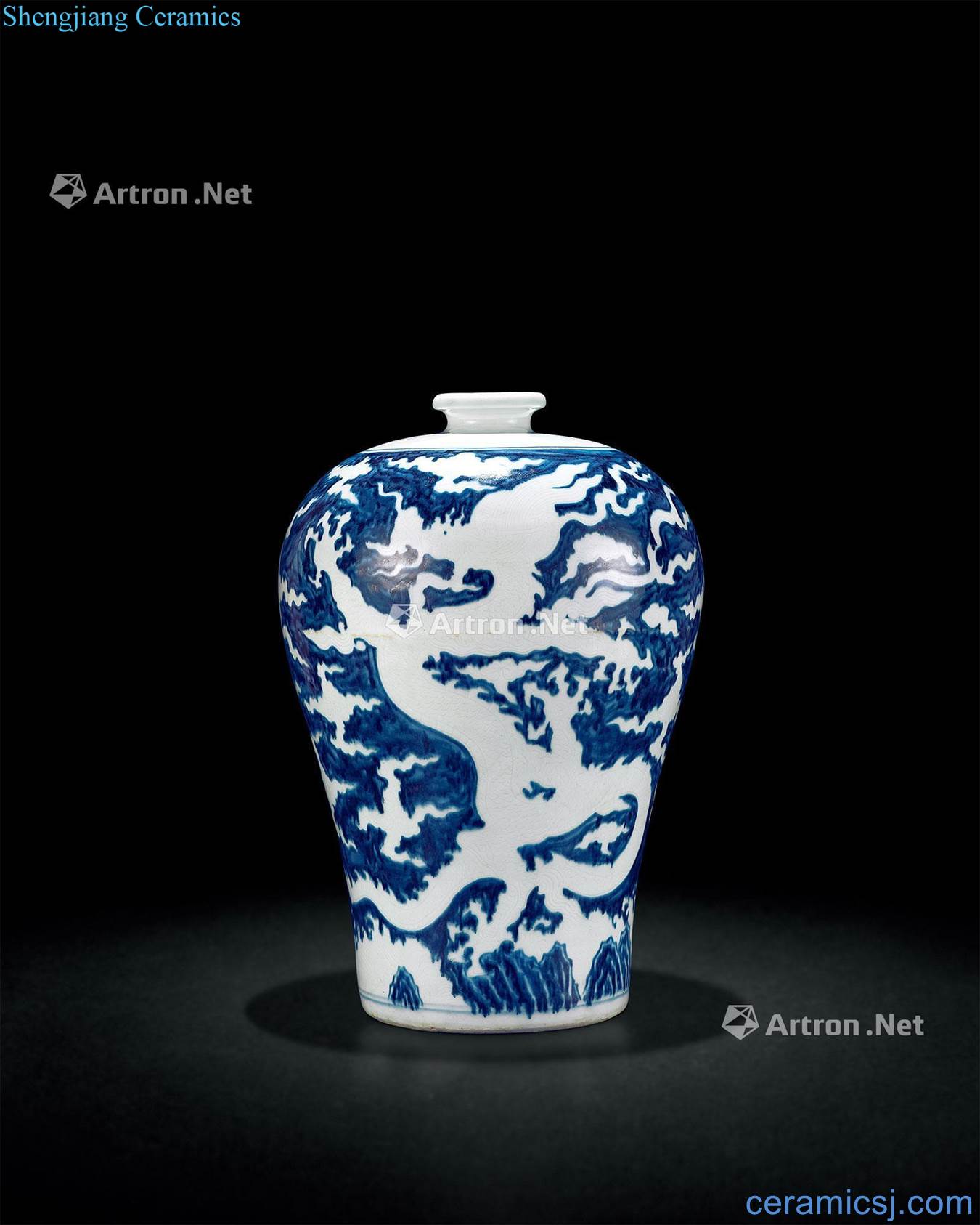 Ming yongle Blue and white and dark moment longfeng grain mei bottle