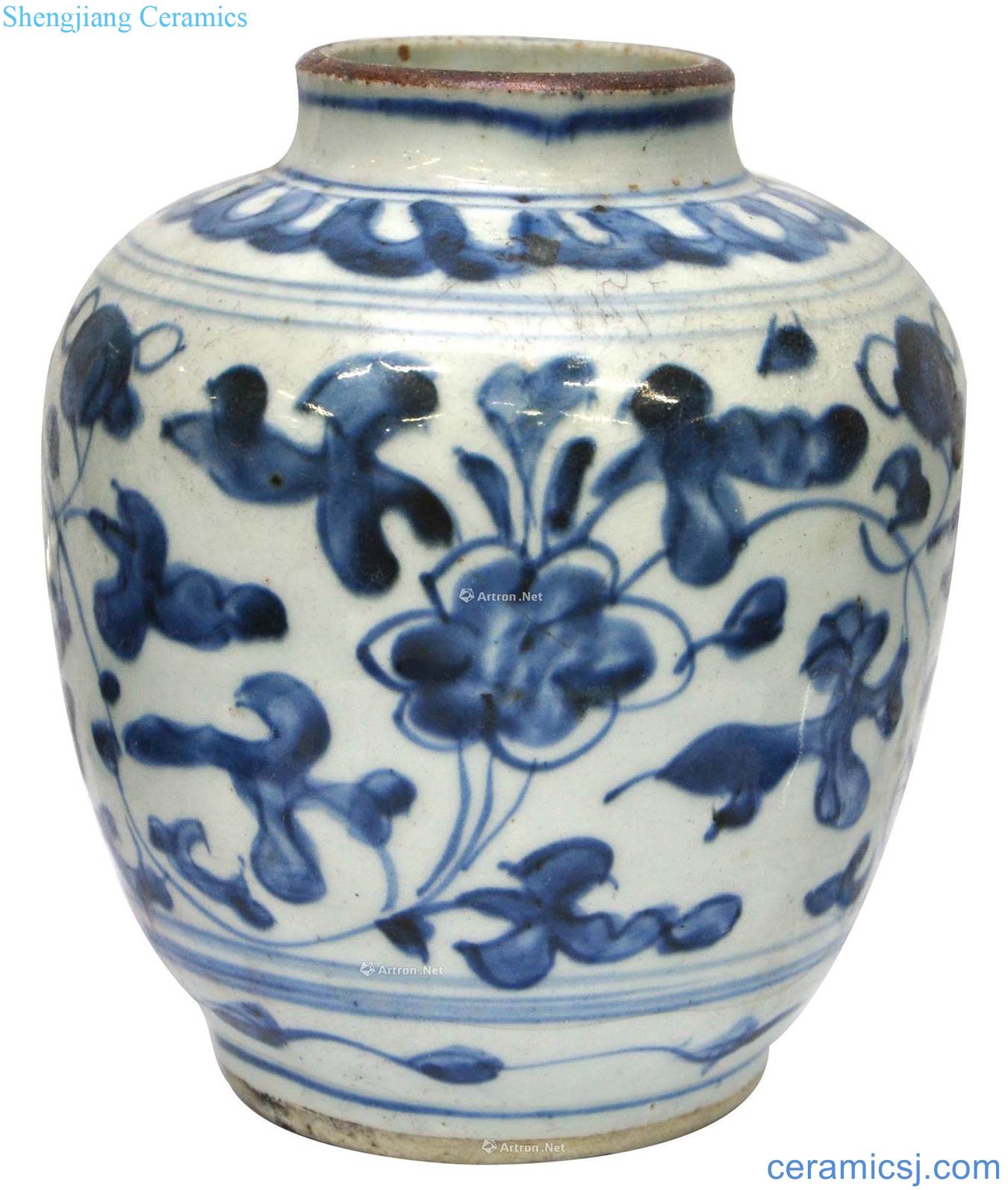 The late Ming blue and white pot