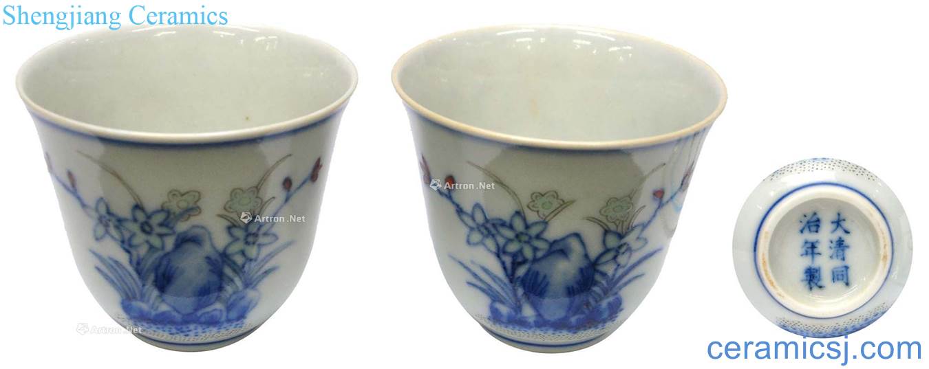 Clear color bucket orchid cup (a)