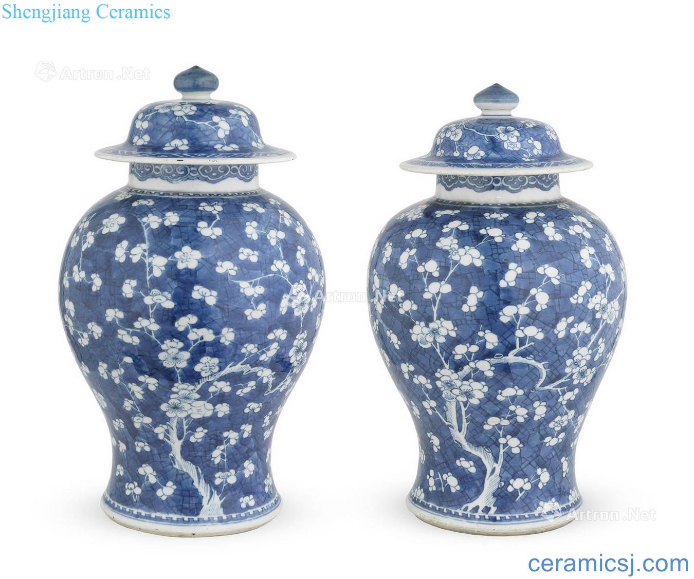 The qing emperor kangxi Blue and white ice to crack the plum blossom lines cover tank A pair of