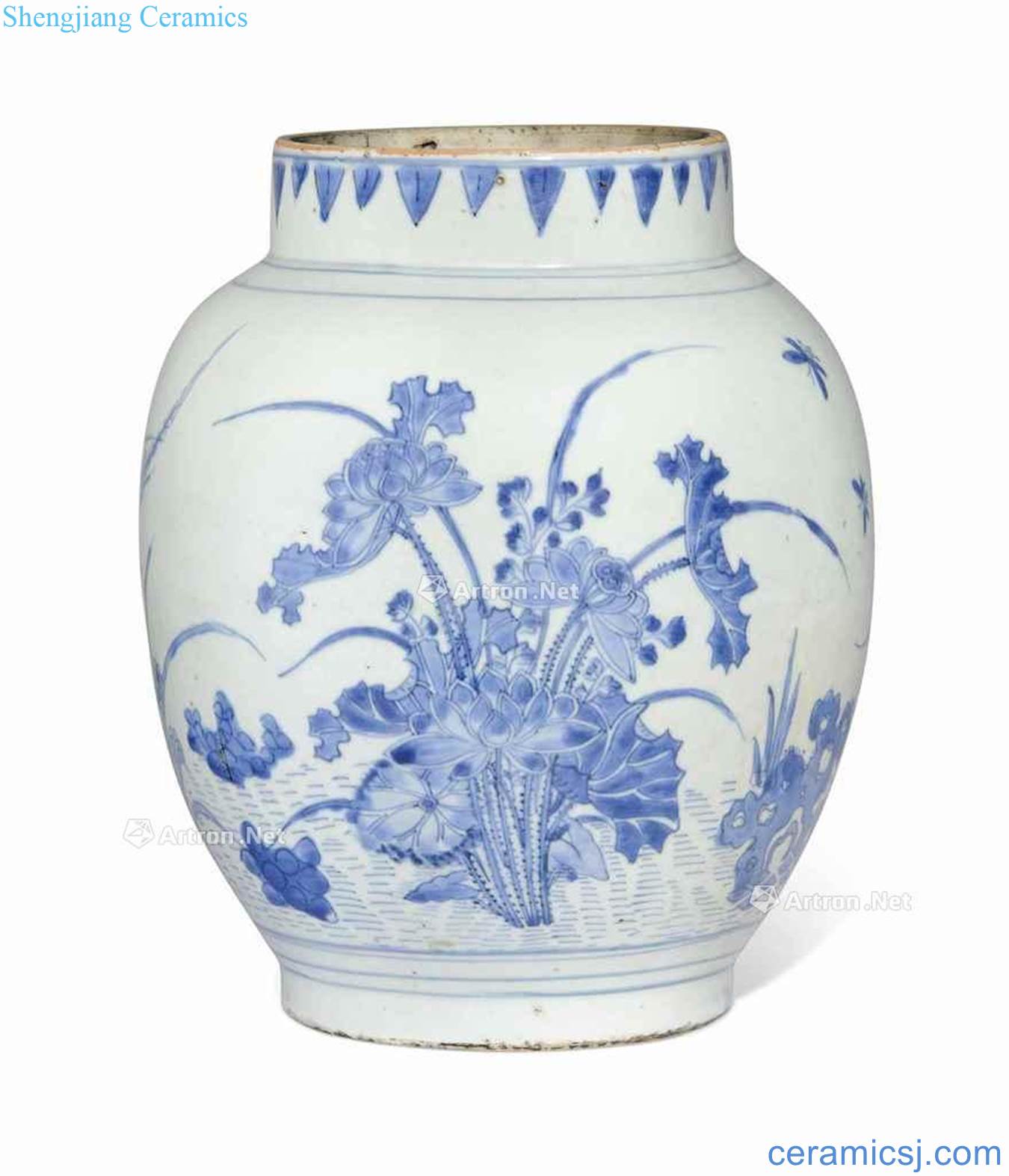 The late Ming dynasty Blue and white flowers and birds figure cans