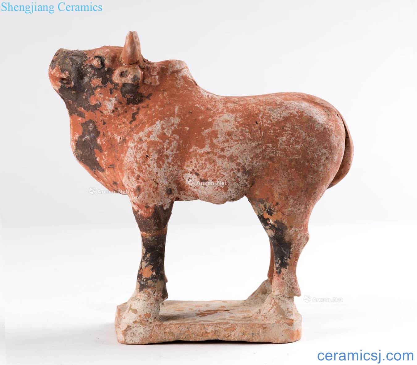 Tang dynasty, the early 7th century The red clay of buffalo