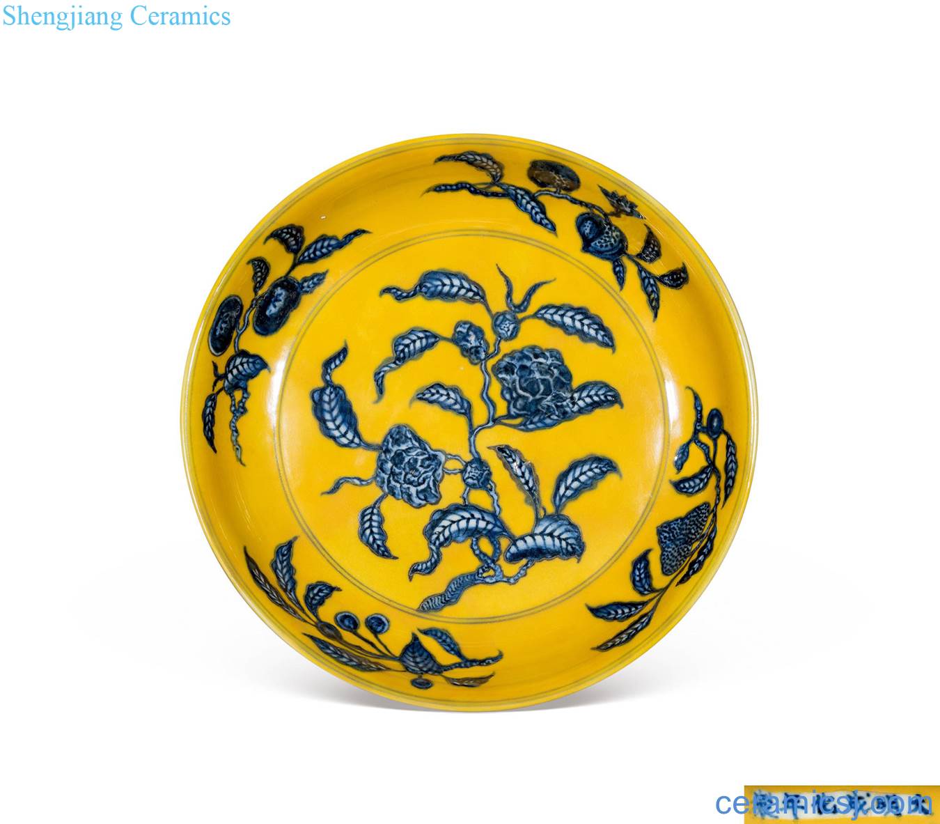 in Yellow to blue and white gardenia flower disc
