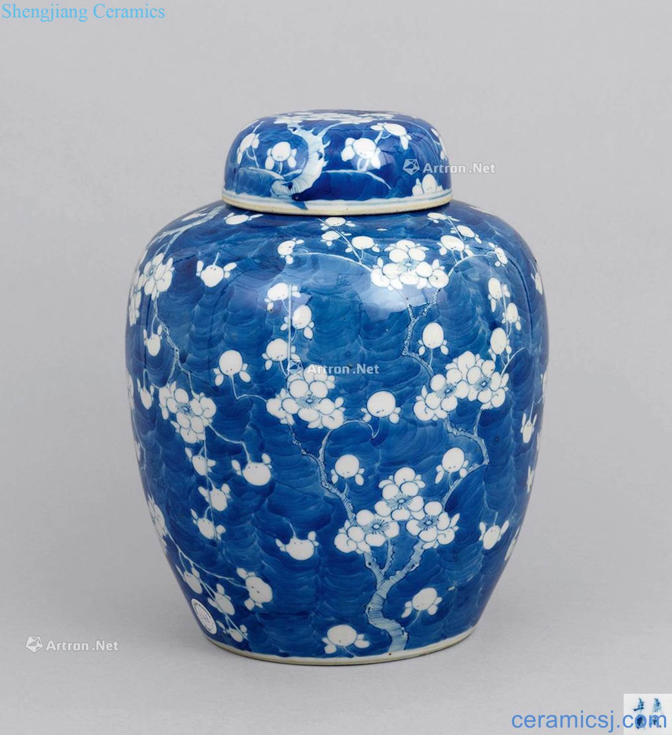 Qing guangxu Blue and white ice may cover tank