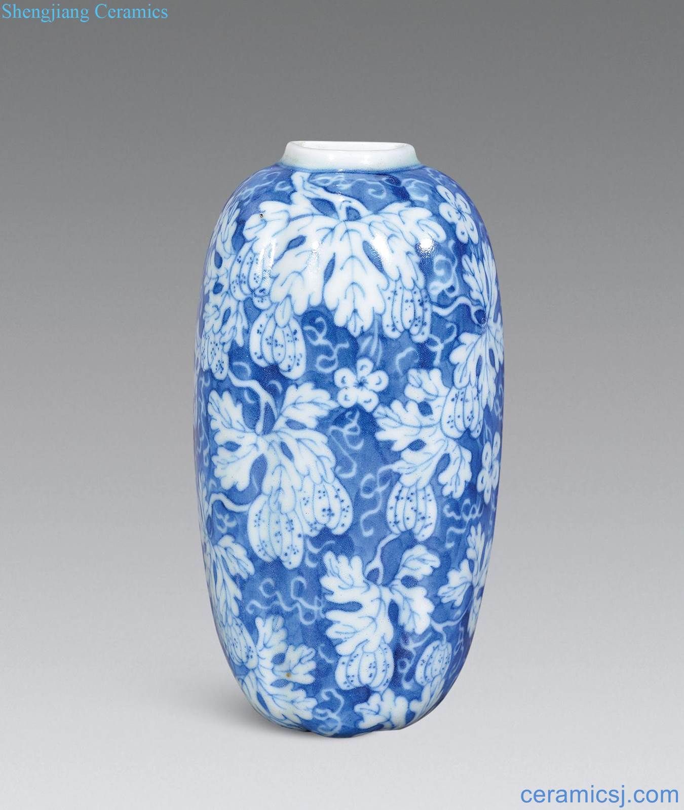 Qing jiaqing Blue and white fruits and grain melon shaped wall bottles