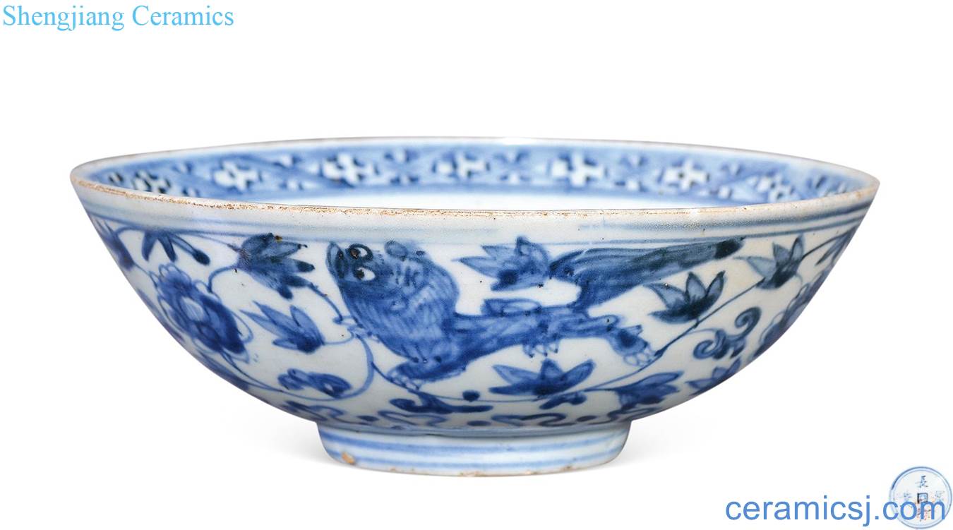 Ming wanli Blue and white floral bowl lion