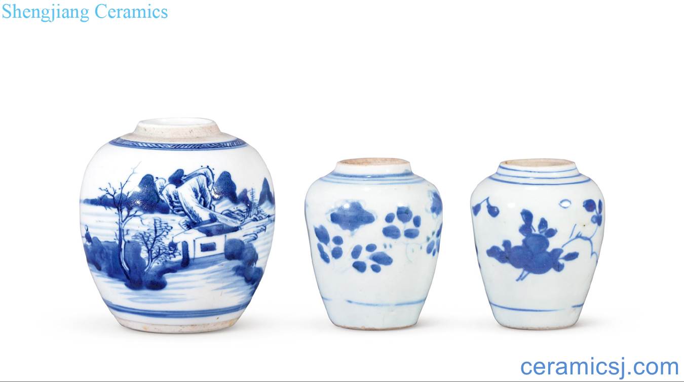 Early qing dynasty blue and white flowers, character canister (three)