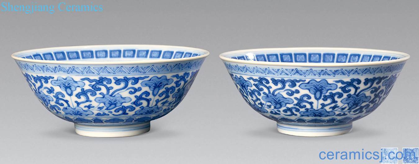 Qing daoguang Blue and white flower bowls bound branches (a)