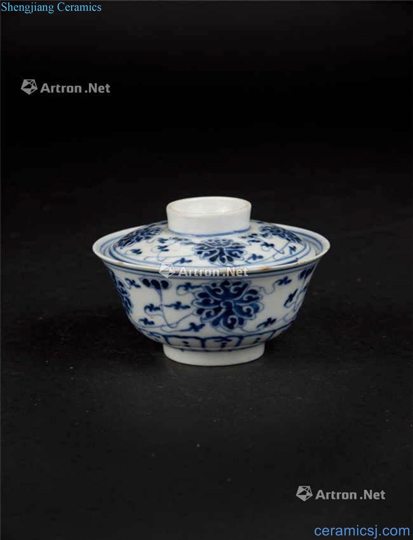 Qing guangxu Blue and white lotus flower tureen