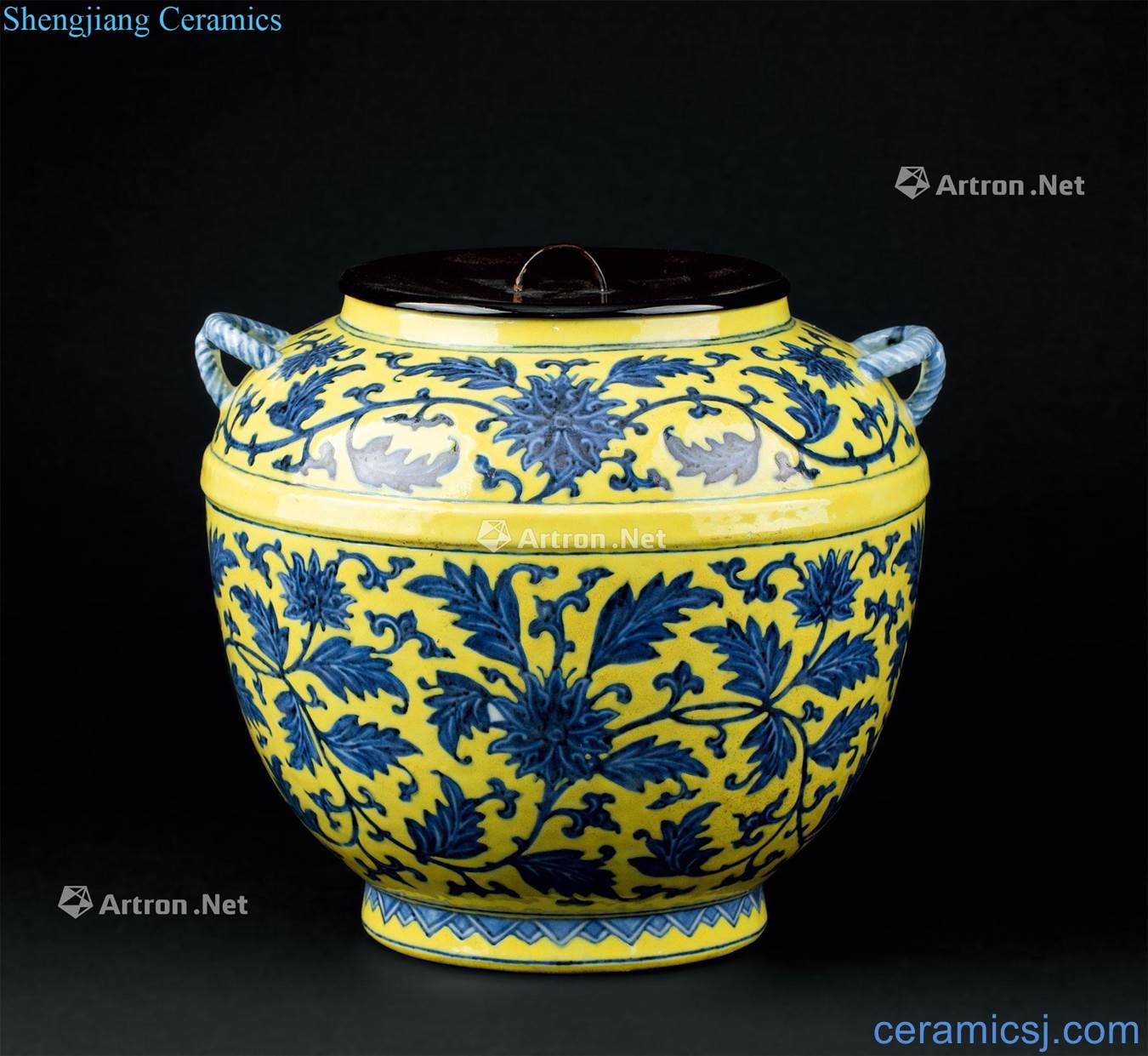 Qing emperor qianlong (1736-1795) blue and white flower grain rope around branches yellow to ear tank