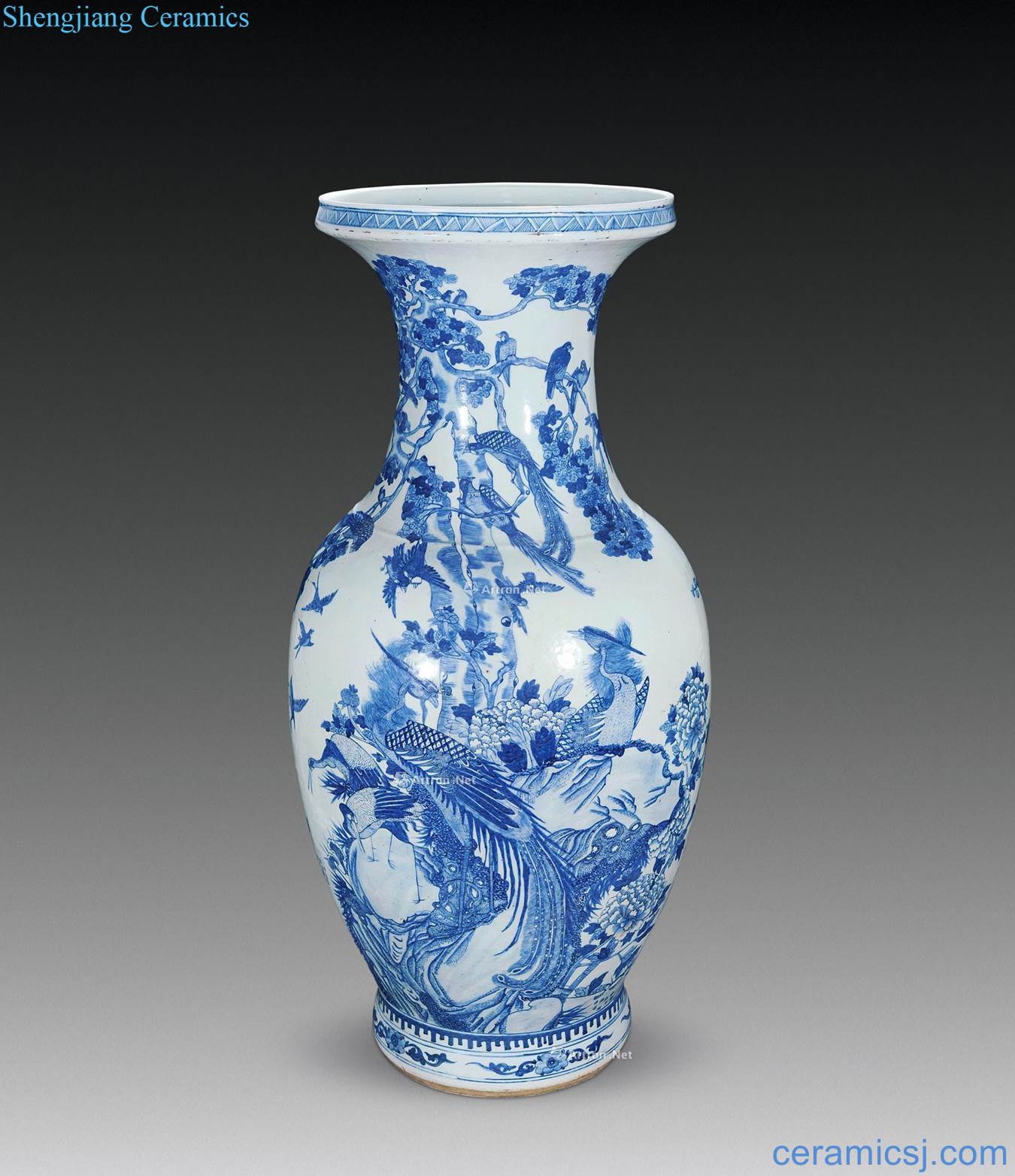 Qing jiaqing Blue and white birds pay homage to the king dish large bottle
