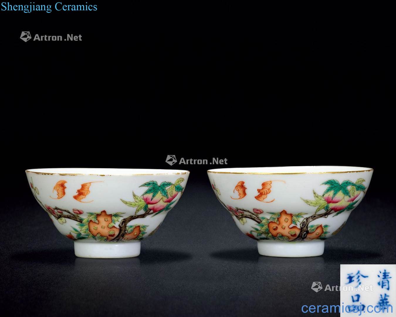 Pastel reign of qing emperor guangxu live lines or bowl (a)