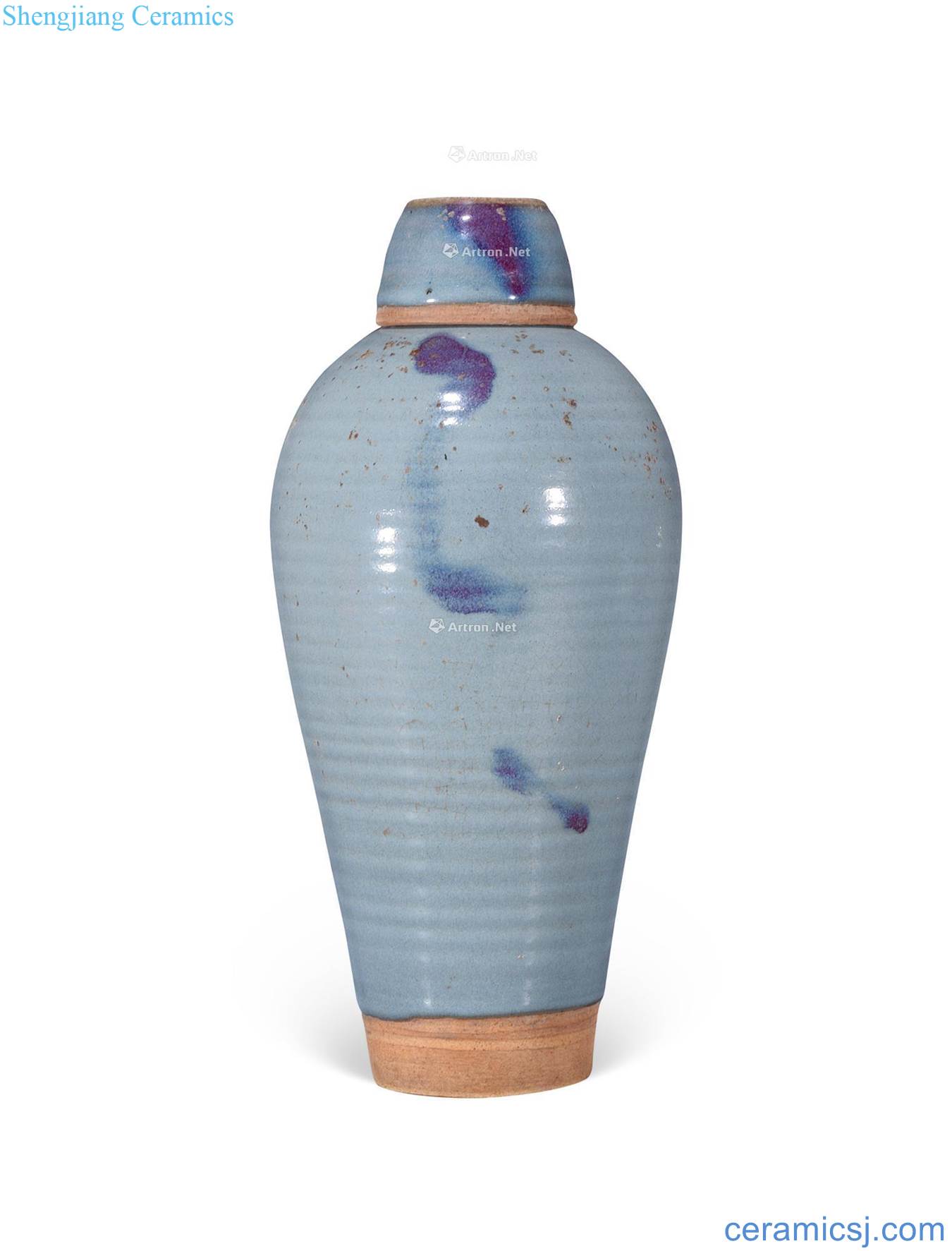 jinyuan Pa bowstring grain mei bottle with a cover on it