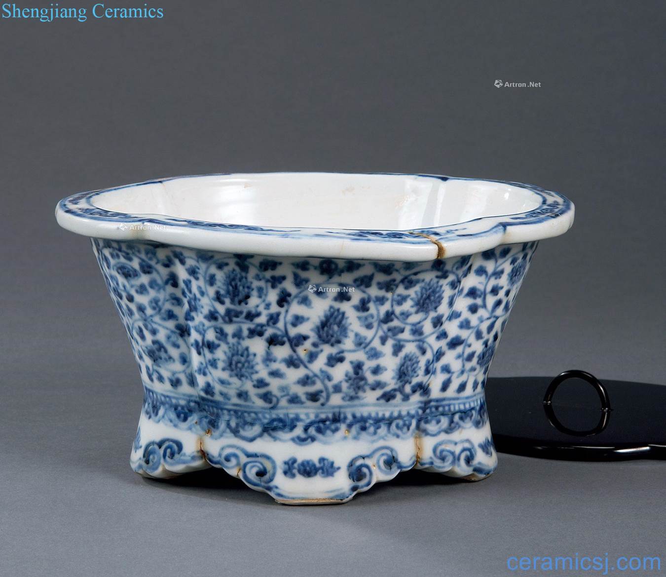 Ming Blue and white branches narcissus flower grain haitang type plate