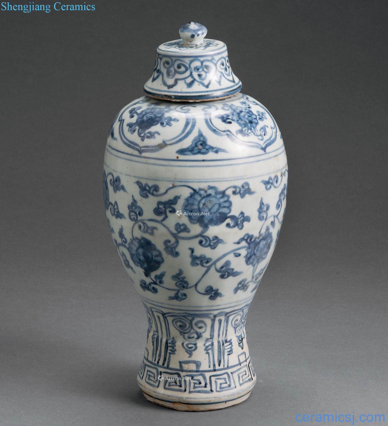 Ming Blue and white tang grass grain mei bottle