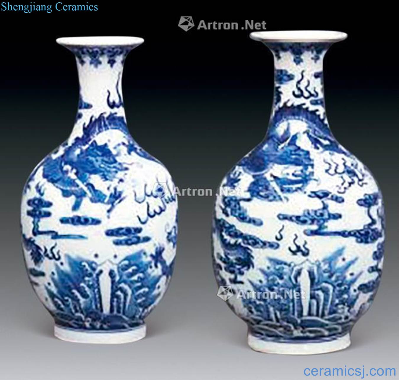 qing Blue and white dragon bottle (a)