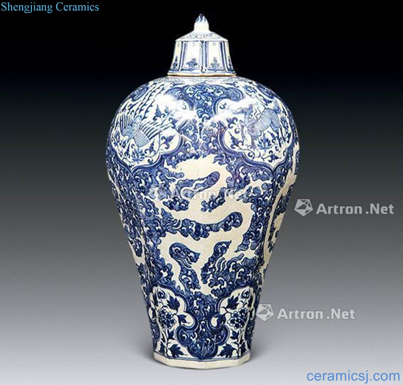 The yuan dynasty Blue and white while eight arrises mei bottles