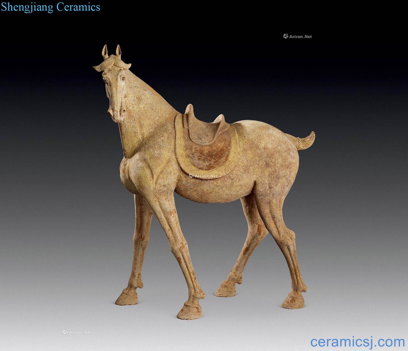Tang dynasty pottery horse