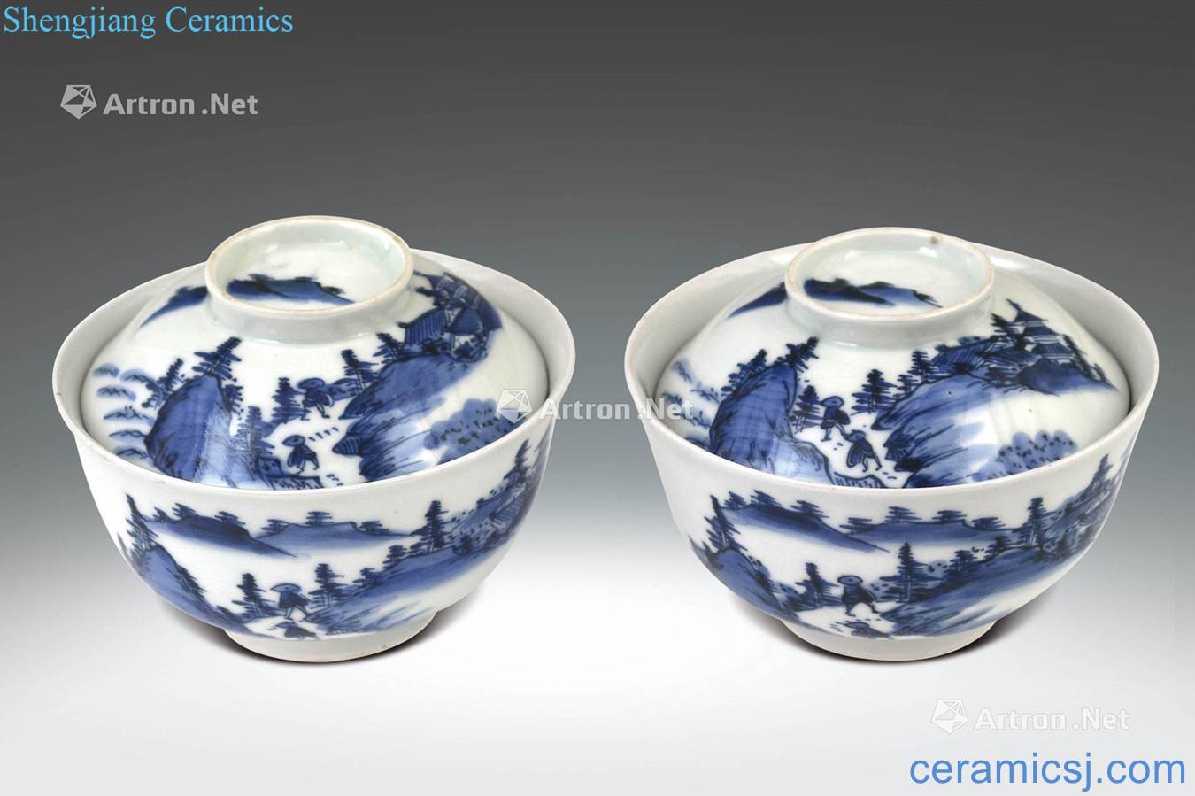 qing Blue and white landscape pattern tureen (a)