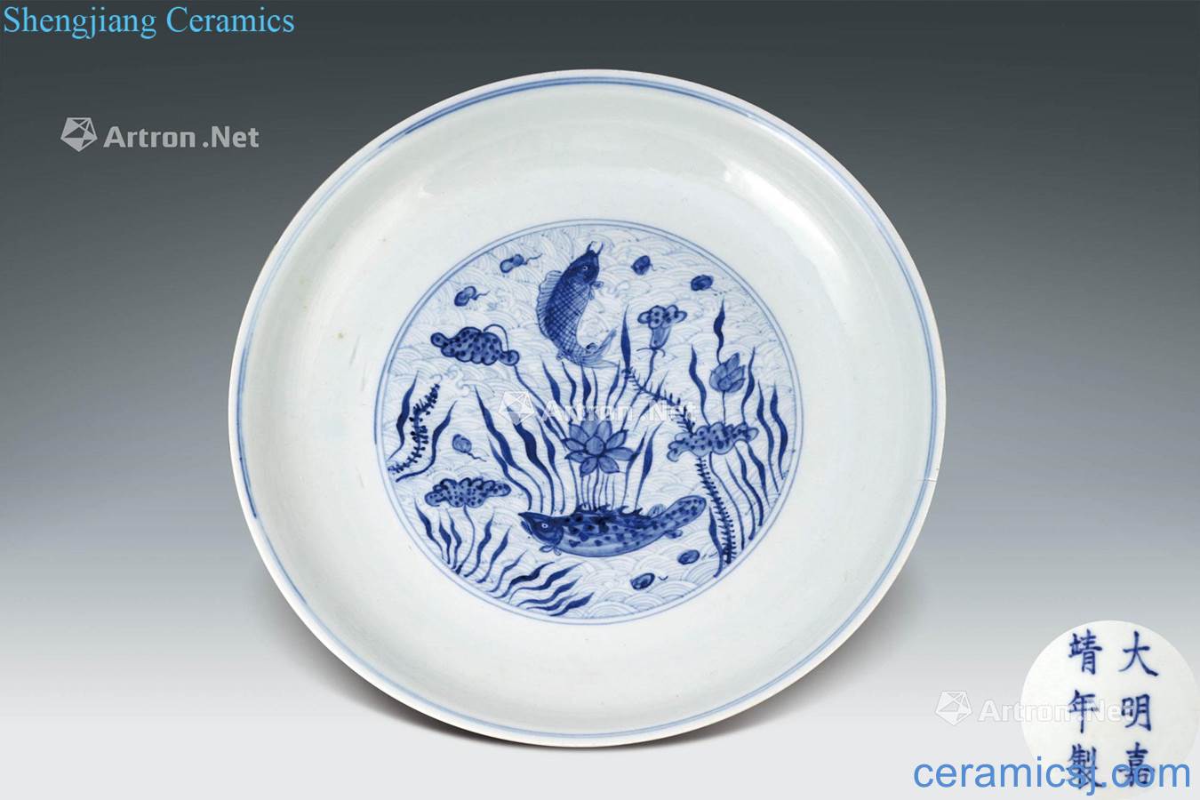 Ming Blue and white lotus pond fish algae tray