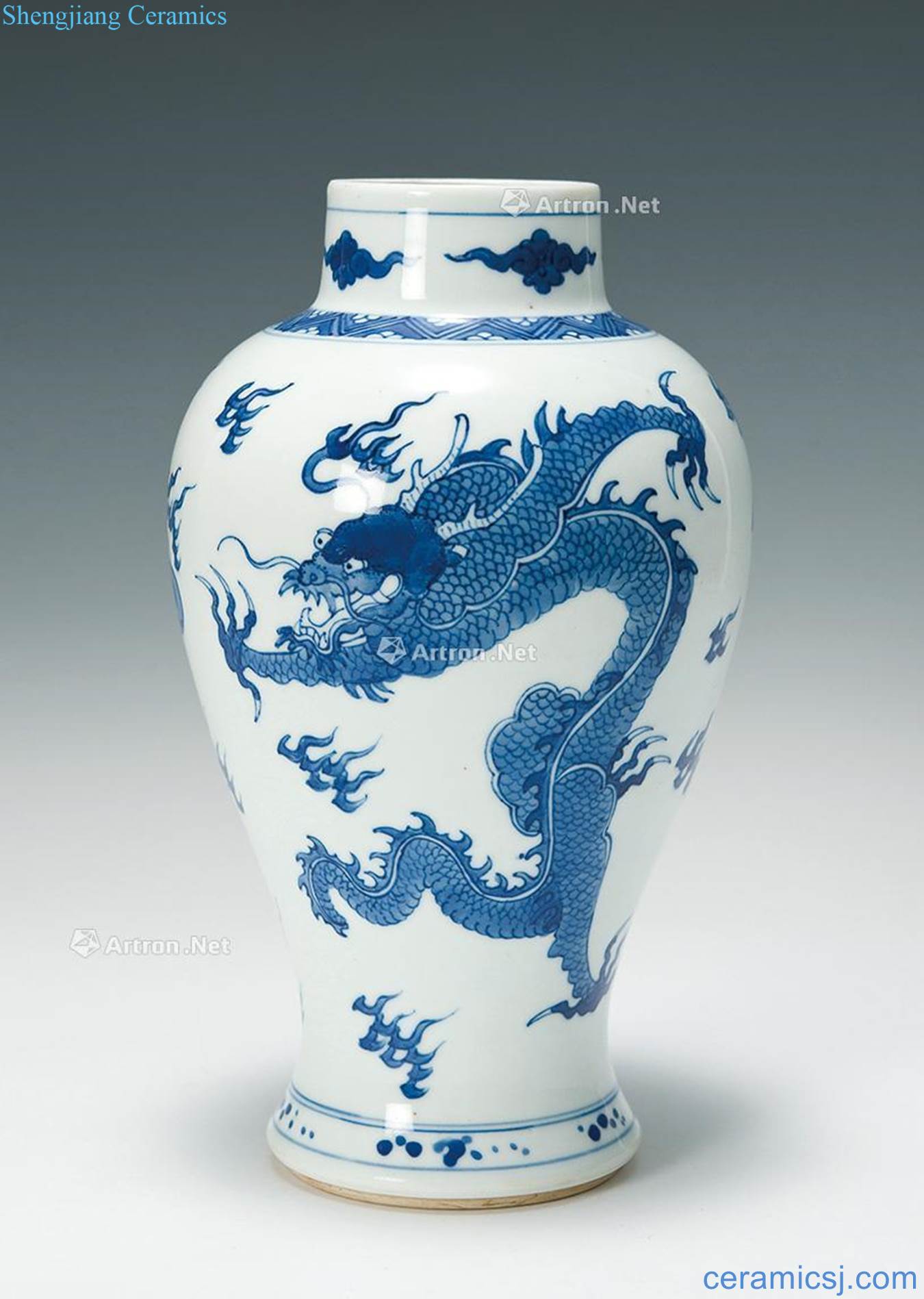qing Blue and white longfeng grain bottle
