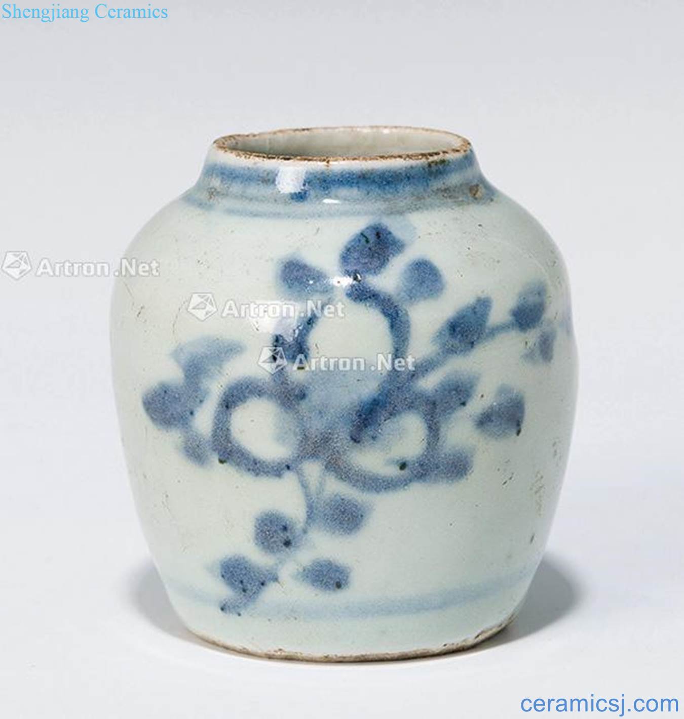 Qing dynasty blue and white flower tattoos canister