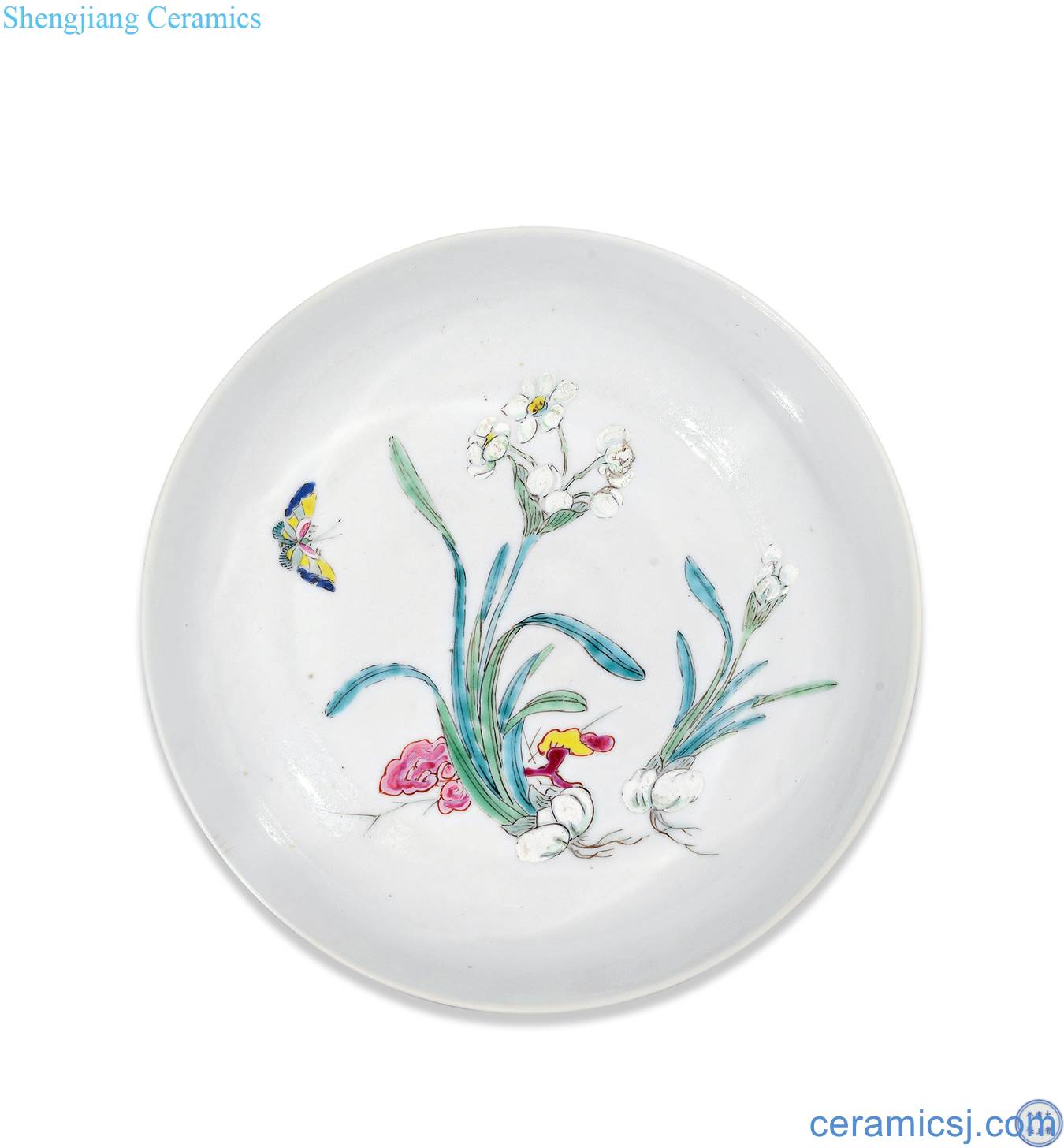 Qing yongzheng pastel narcissus pattern plate
