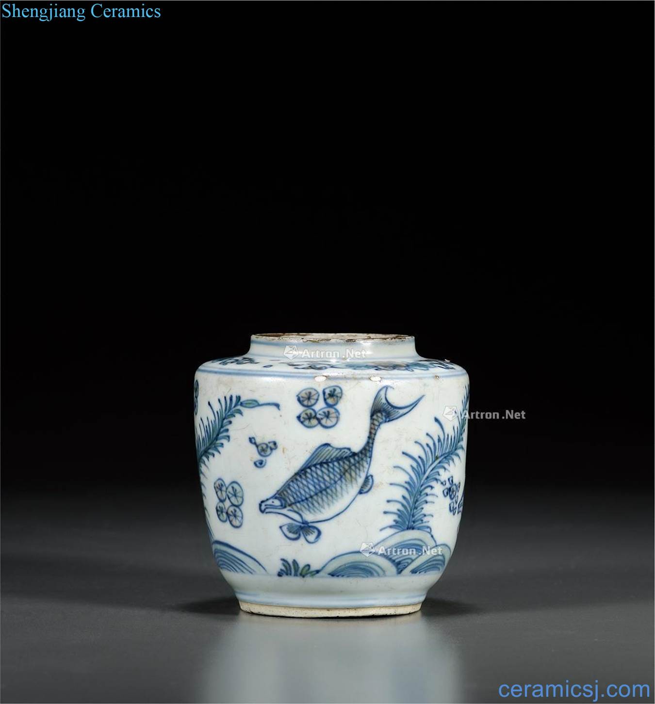 Qing Ming chenghua year with blue and white color bucket fish grain canister