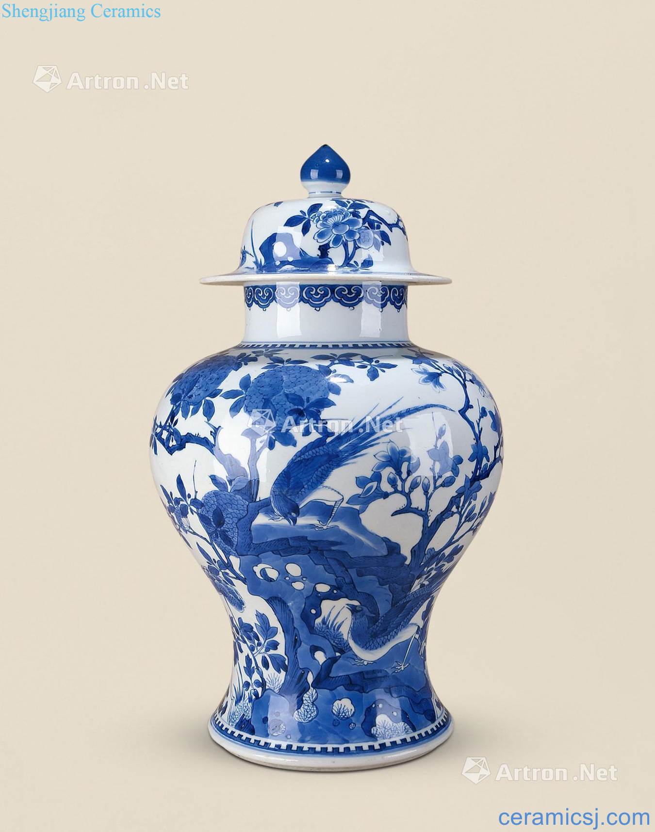 The qing emperor kangxi Blue and white pheasant peony general tank