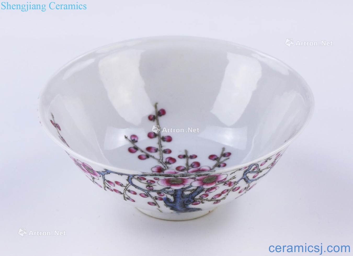 Qing yongzheng pastel branch plum blossom eggshell bowl