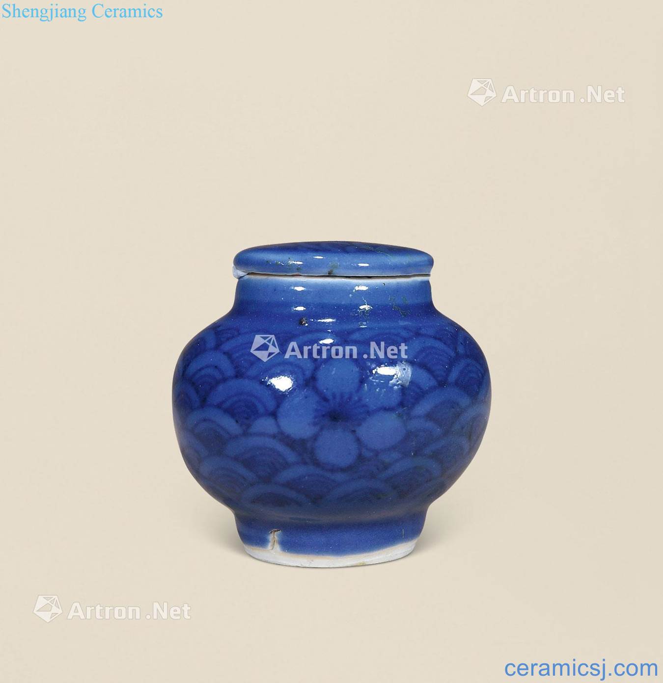 Ming chongzhen Blue on blue out of the water tank