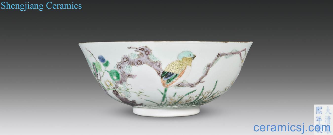 Mid qing Colorful flowers and birds grain big bowl