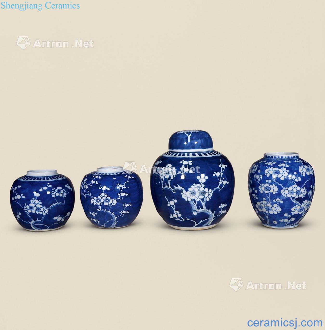 Qing guangxu Blue and white ice may cover pot (four)