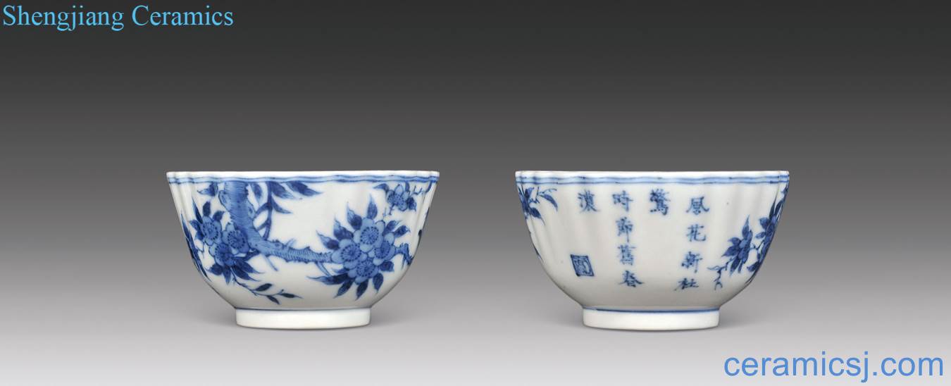 In late qing dynasty Blue and white painting of flowers and poems cup (a)