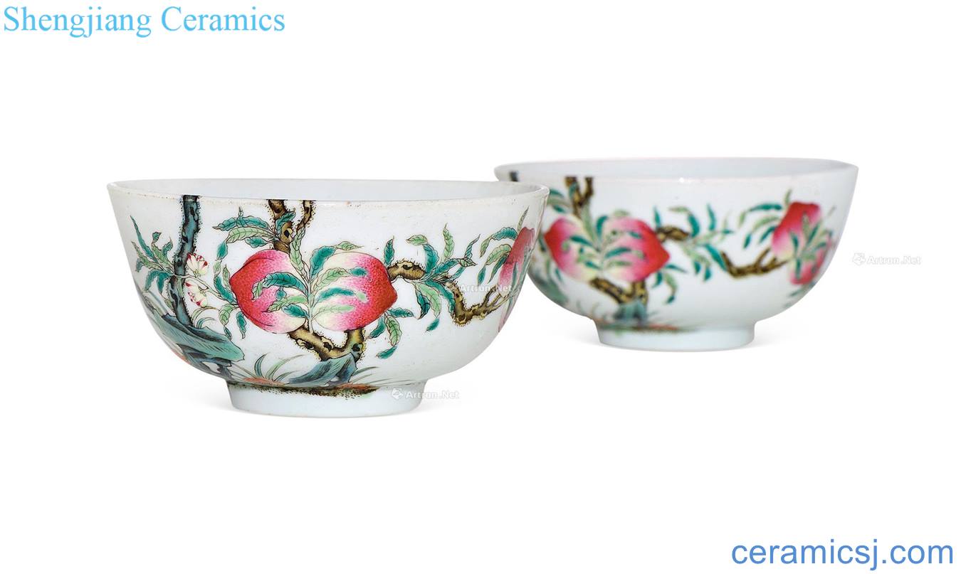Pastel reign of qing emperor guangxu branches live bowl (a)