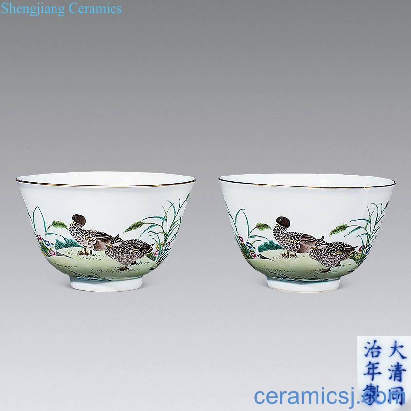 Dajing pastel reed pond ducks green-splashed bowls (a)