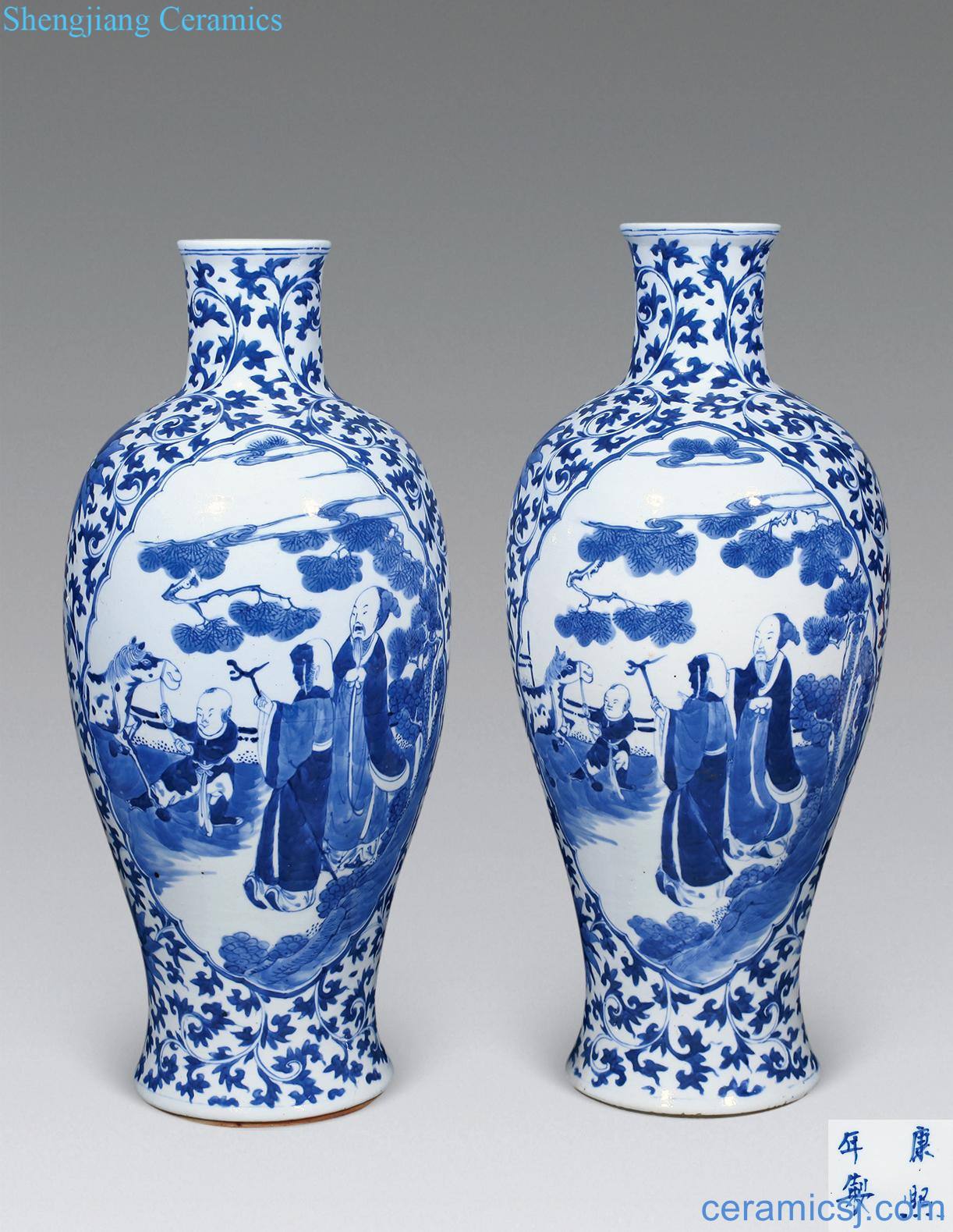 Qing guangxu Blue and white medallion character bottle (a)
