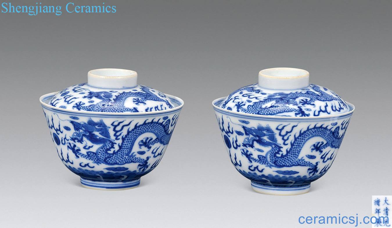 Qing guangxu Blue and white dragon tureen (a)