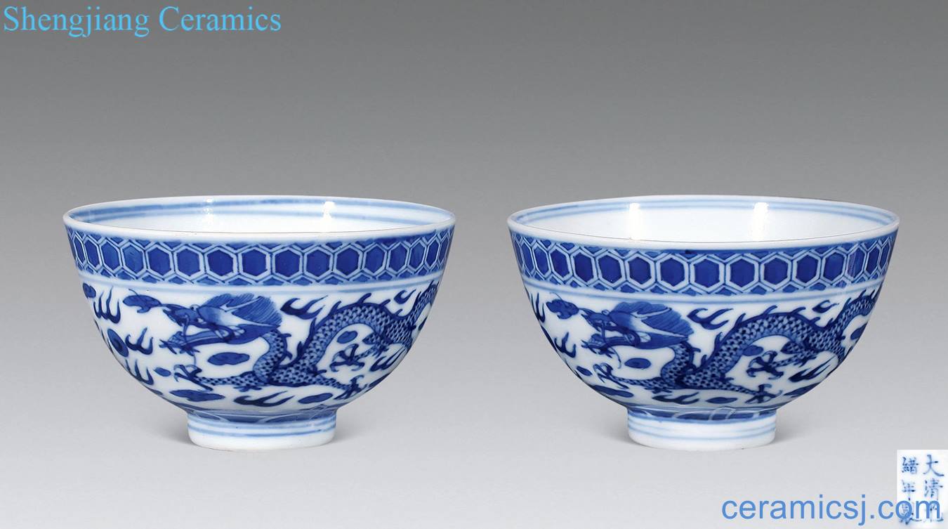 Qing guangxu Blue and white praised bowl (a)