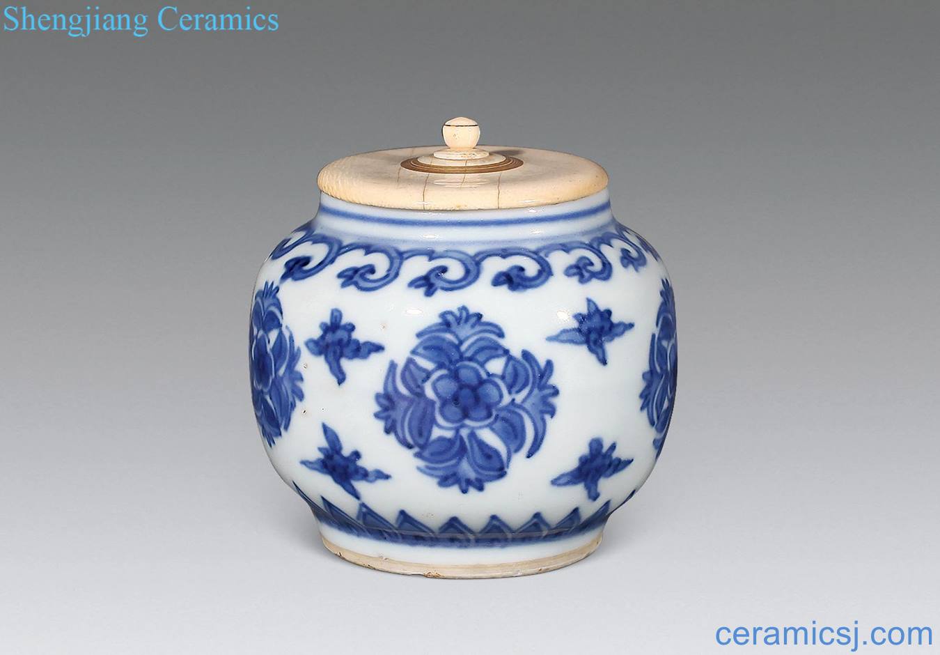 The qing emperor kangxi Blue and white flowers tougue cans