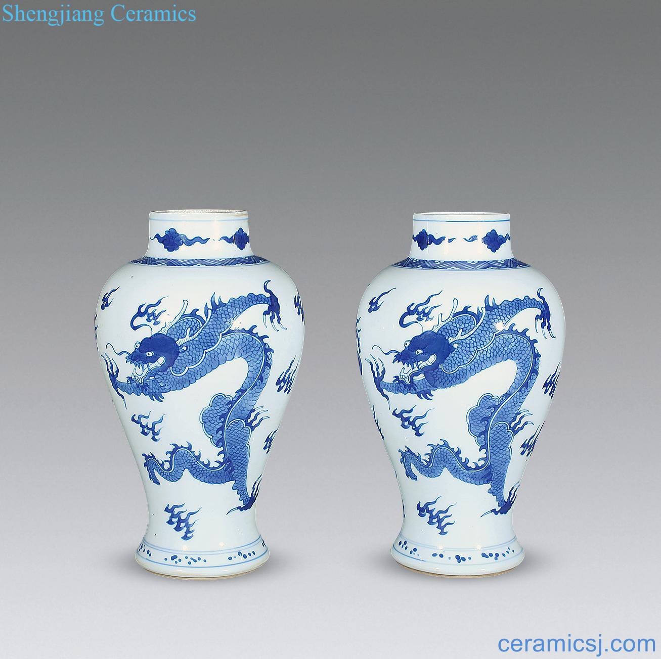 The qing emperor kangxi Blue and white grain mei bottle (a)